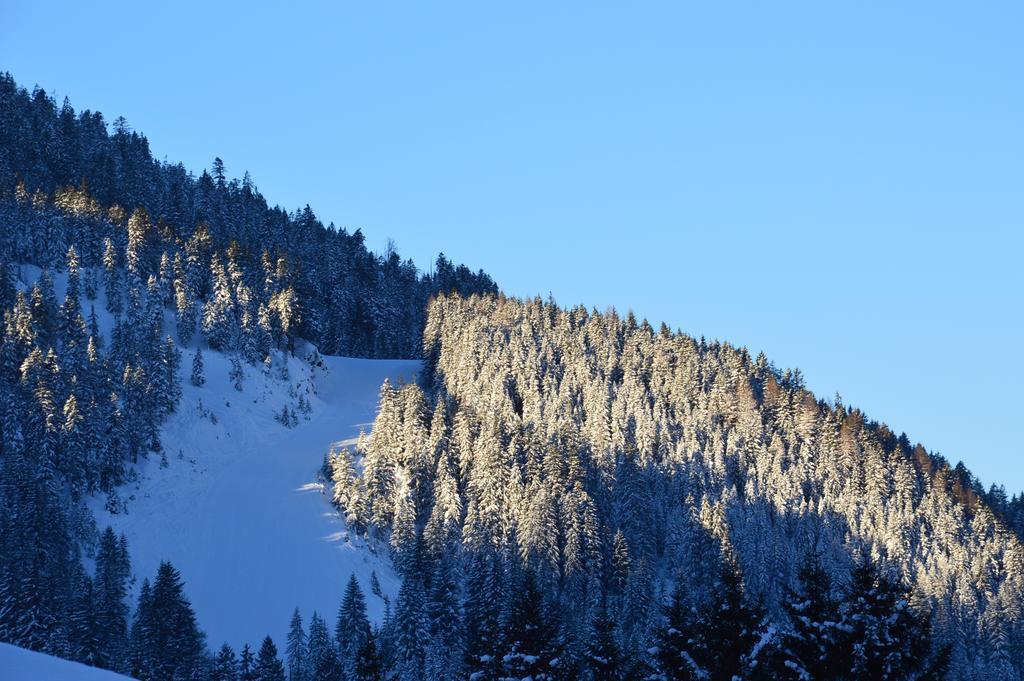 Gasthof Kollenspitze Hotel Nesselwängle Eksteriør billede